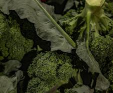 Mais de 17 mil toneladas de alimentos da agricultura familiar abastecem escolas do Paraná anualmente