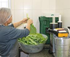 Merenda nota 10: 4 mil cozinheiras cuidam da alimentação escolar no Paraná