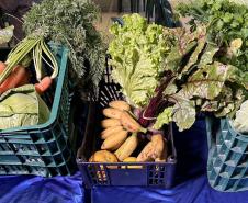 Dia Mundial da Alimentação: mais de 2 mil alunos tem alimentação especial nas escolas estaduais do Paraná