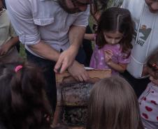 Casa Civil e SGDES promovem o evento “Casinha Civil do Futuro” com filhos de servidores e atividades sobre sustentabilidade e ODS