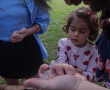 Casa Civil e SGDES promovem o evento “Casinha Civil do Futuro” com filhos de servidores e atividades sobre sustentabilidade e ODS