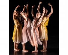 Agenda cultural tem musical do Djavan, Mozart no MON e duas novas exposições nos museus