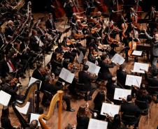 Agenda cultural tem musical do Djavan, Mozart no MON e duas novas exposições nos museus