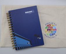 Casa Civil consolida gestão estratégica e fortalece a governança do Estado no período 2022–2025