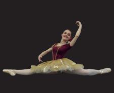 Três novidades no MON, Natal no Guaíra e estreia no MUPA estão na agenda cultural