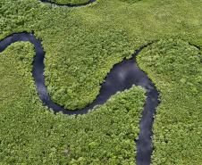 Foto: Denis Ferreira Netto/SEDEST