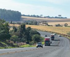 Estado mantém desconto de 6% do pagamento à vista e IPVA 2026 pode cair pela metade