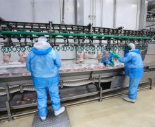 Indústria do Paraná tem terceiro melhor desempenho do País em novembro de 2025