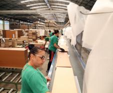 Paraná lidera contratação de mulheres e jovens na Região Sul em 2025