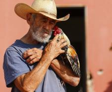 Gusttavo Lima no Verão Maior e programação de férias nos museus estão na agenda cultural