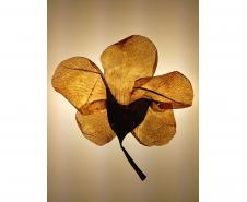 Shows do Litoral, Oficina de Música de Curitiba e ações nos museus agitam a agenda cultural