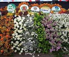 Ratinho Junior assina ordem de serviço do novo Mercado de Flores da Ceasa Curitiba