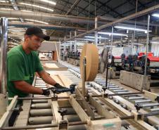 Foto: Gilson Abreu/Arquivo AEN