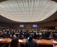 Casa Civil participa da 70ª Sessão da Comissão sobre a Situação da Mulher