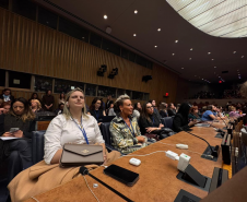 Casa Civil participa da 70ª Sessão da Comissão sobre a Situação da Mulher