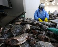 Perto do trilhão: vendas de empresas do Paraná para outros estados crescem 211% em sete anos