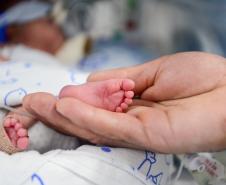 Sequenciamento genético no Paraná abre caminho para medicina de precisão no SUS