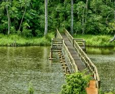 Confira dicas de passeios para curtir o feriado da Páscoa em meio à natureza do Paraná