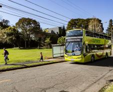 Mais de 456 mil turistas de outros países visitaram o Paraná nos primeiros meses de 2026