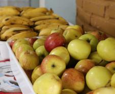 Paraná bate recorde de investimento em alimentos orgânicos nas escolas estaduais