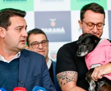 Estado fará 80 mil atendimentos em programa itinerante de consultas e vacinas para cães e gatos
