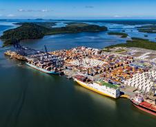 Portos do Paraná impulsiona exportação de frango e acelera transição energética no complexo