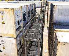 Portos do Paraná impulsiona exportação de frango e acelera transição energética no complexo