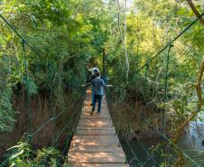 Paraná foi o terceiro portão de entrada de turistas estrangeiros em maio no país