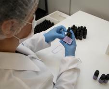 Paraná fecha terceiro trimestre com saldo positivo de 148 mil novas empresas e alta de 23,8%