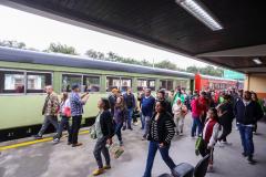 Serviços crescem 11,9% no Paraná em setembro, melhor resultado do Sul e 2º do país