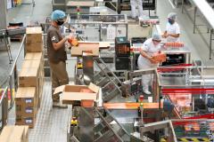 Desemprego cai por três trimestres seguidos e chega a 4,6% no Paraná, 5ª menor taxa do País