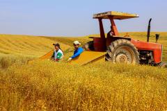 Paraná teve o maior crescimento da atividade econômica do Brasil em 2023