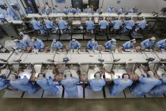 Com tilápia em alta, exportação paranaense de pescados cresceu 20% no 1º semestre de 2024