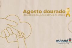 Rede de aleitamento materno e hospitais certificados ajudam milhares de bebês todos os anos - A Secretaria de Estado da Saúde (Sesa) possui a Rede Estadual de Bancos de Leite Humano, que atualmente conta com 15 bancos de leite humano (BLH) e 15 postos de coleta (PCLH) em todo Estado