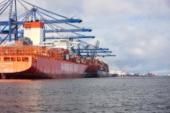 Portos do Paraná atingem novo recorde histórico com crescimento expressivo nas importações