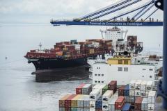Exportações paranaenses chegam a 167 países e somam US$ 1,45 bilhão em janeiro Foto: Claudio Neves/Portos do Paraná