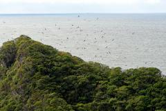 Recuperação de áreas verdes, combate ao desmatamento, cuidados com a água e a fauna e destinação correta dos resíduos sólidos: os indicadores que transformaram o Paraná em referência na proteção ao meio ambiente.