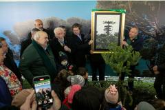 Curitiba, 24 de junho de 2025 - O governador em exercício Darci Piana plantou, no Dia Nacional da Araucária, nos jardins do Palácio Iguaçu, uma muda clonada de uma Araucaria angustifolia com cerca de 700 anos. Foto: Roberto Dziura Jr/AEN