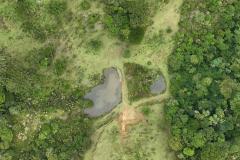 Paraná tem projeto de proteção de microbacias no campo para garantir segurança hídrica