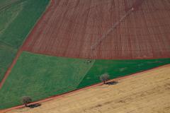 PIB do Paraná cresce acima de países da Europa no 1º semestre do ano