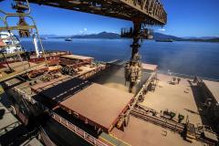 Empresas do Paraná diversificam mercados e exportações crescem 3,5% em outubro