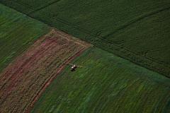 Foto: Jonathan Campos/AEN