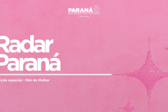 Paraná avança na inclusão e tem mulheres mais empregadas e com renda em crescimento acima da média nacional