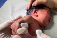 Paraná amplia estratégia de vacinação BCG em maternidades para blindar recém-nascidos contra a tuberculose