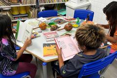 Paraná lidera acesso a bibliotecas em escolas e rede estadual tem obras raras