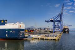 Porto de Paranaguá assume vice-liderança nacional na movimentação de veículos