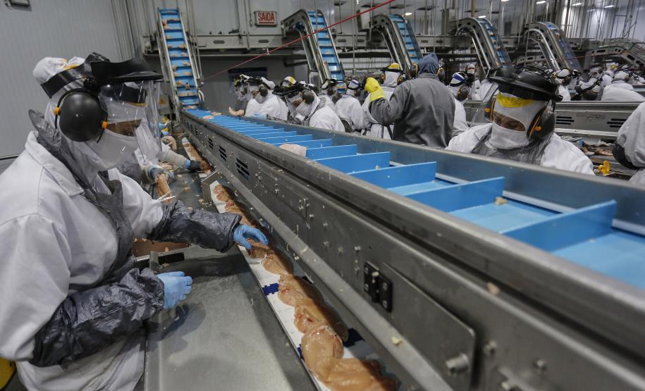 Taxa de desemprego do Paraná cai para 5,3%, menor desde 2014