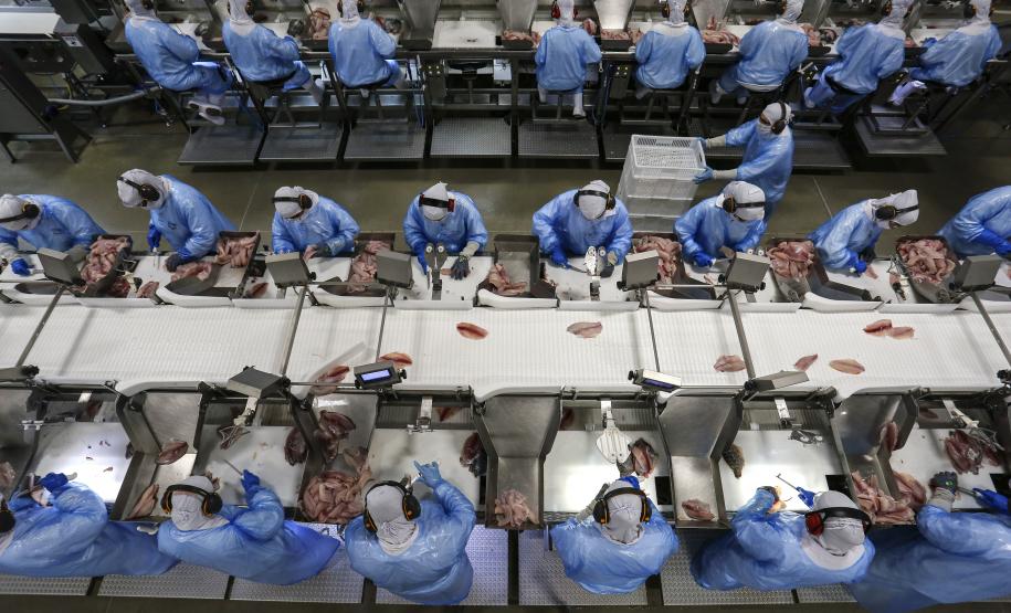 Taxa de desemprego do Paraná cai para 5,3%, menor desde 2014