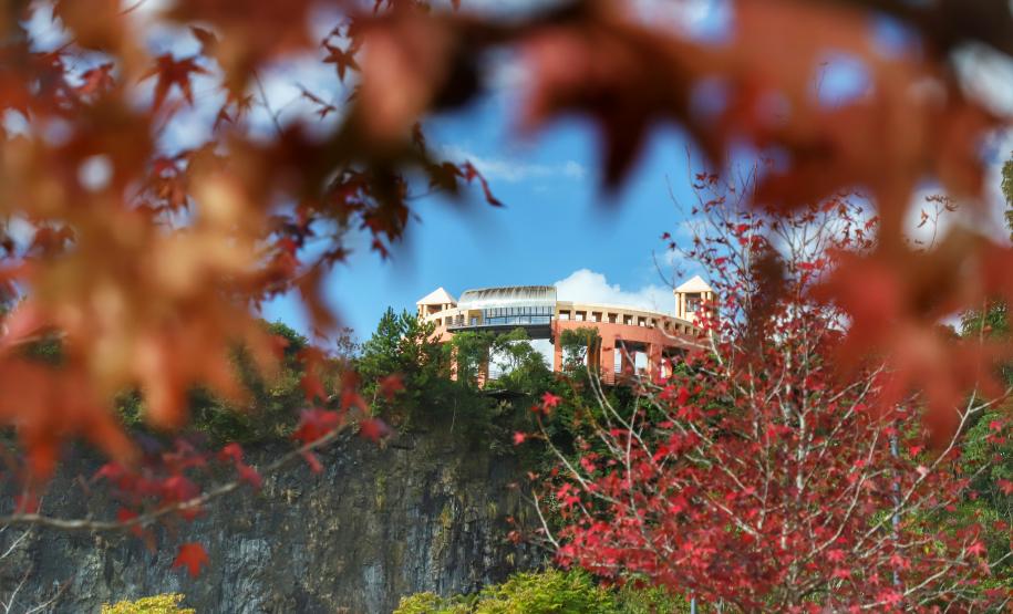 Curitiba- Parque Tanguá