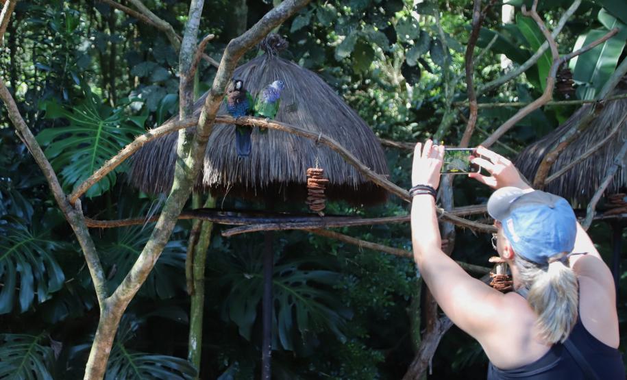 Foz do Iguaçu - Parque das Aves -